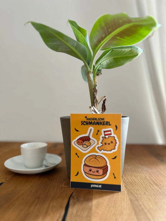 Kaiserliche Schmankerl Mein Shop